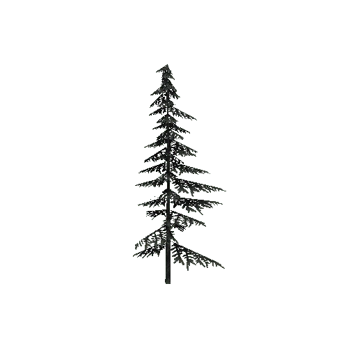 ConiferTreeSmall01LOD3 (TVE Backup)